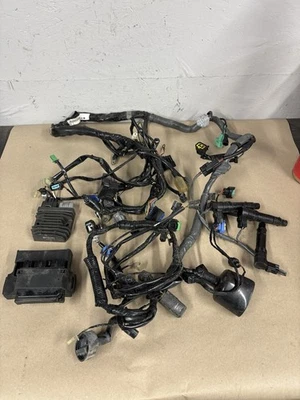 JUEGO DE ARNÉS DE CABLEADO INYECTOR PRINCIPAL KAWASAKI NINJA ZX14R 12-25 sin abs #0180 Foto 1 de 4