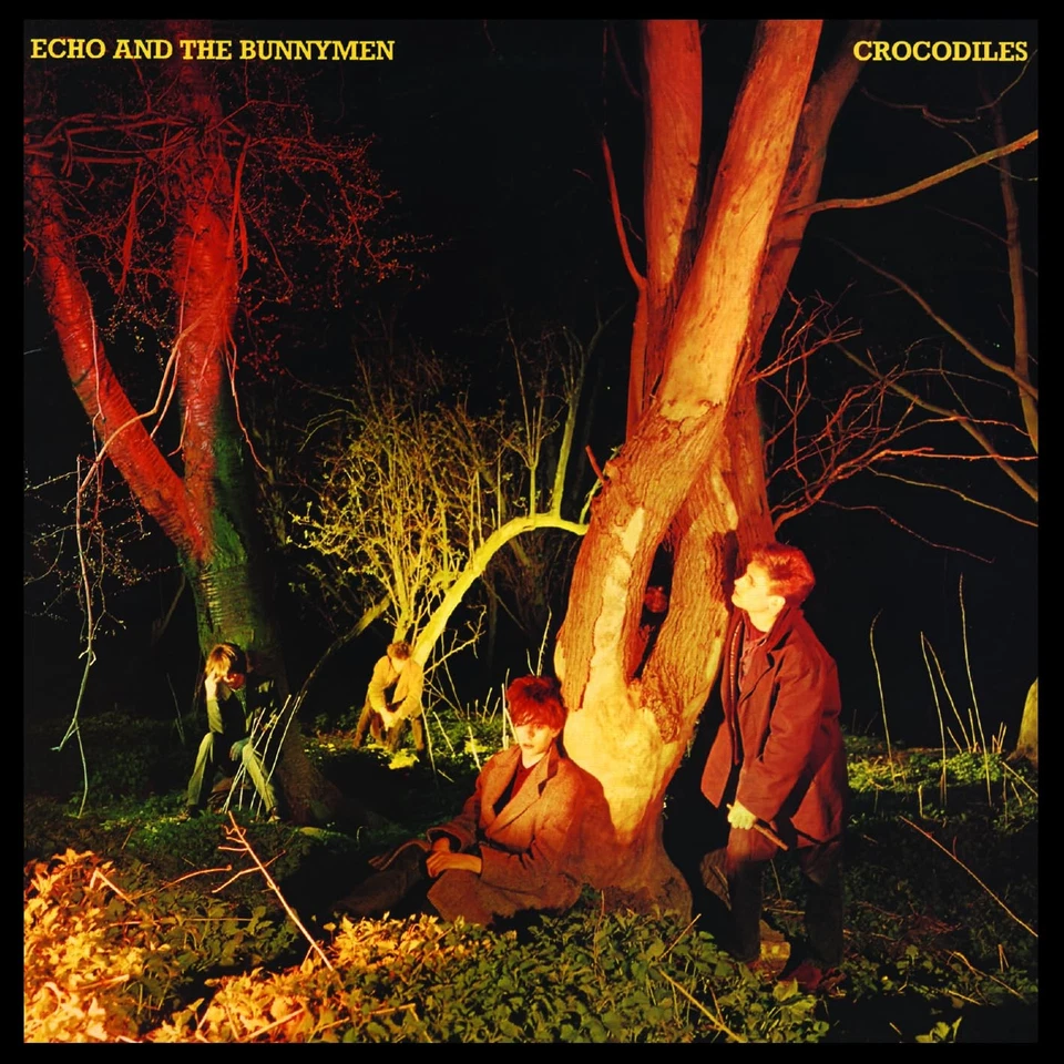 Echo & the Bunnymen CROCODILES with Bonus Track From Japan CD 20tracks Foto 1 de 1