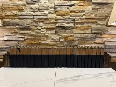 The Novels Of Charles Lever 26 Volumes 1894-1895 Limited Edition RareAntique Set — 第 1/4 张图片