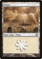 Plains (Version 366) 10th Edition NM Basic Land MAGIC GATHERING CARD ABUGames