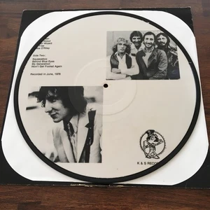 THE WHO Swansea Picture Disc Pic Lp 1976 Rare - Picture 1 of 2