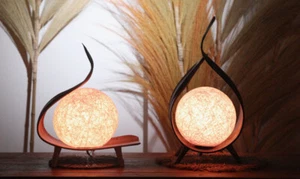Natural Coconut Table Lamp Decorative LED Globe unique  Handmade in Bali - Picture 1 of 16