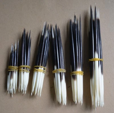 10x Porcupine Quills Jewelry Craft Hair Stick Weaving Beading Assorted Craft DIY - Image 1 of 2