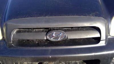 Parachoques de rejilla superior para 05-06 SANTA FE 718402 Foto 1 de 4