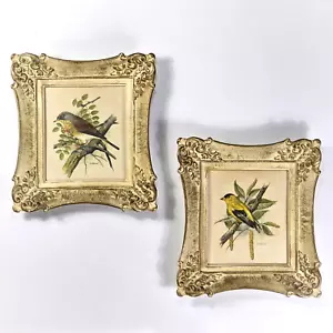 Set of 2 VTG 1950's PH Gonner Bird Prints Ornate Syroco Style Molded Wood Frames - Picture 1 of 13