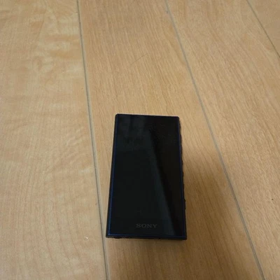 Sony NW-A306 Walkman azul - Imagen 1 de 4