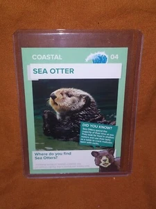 Winn Dixie GO WILD Trading Card Sea Otter - Bild 1 von 1