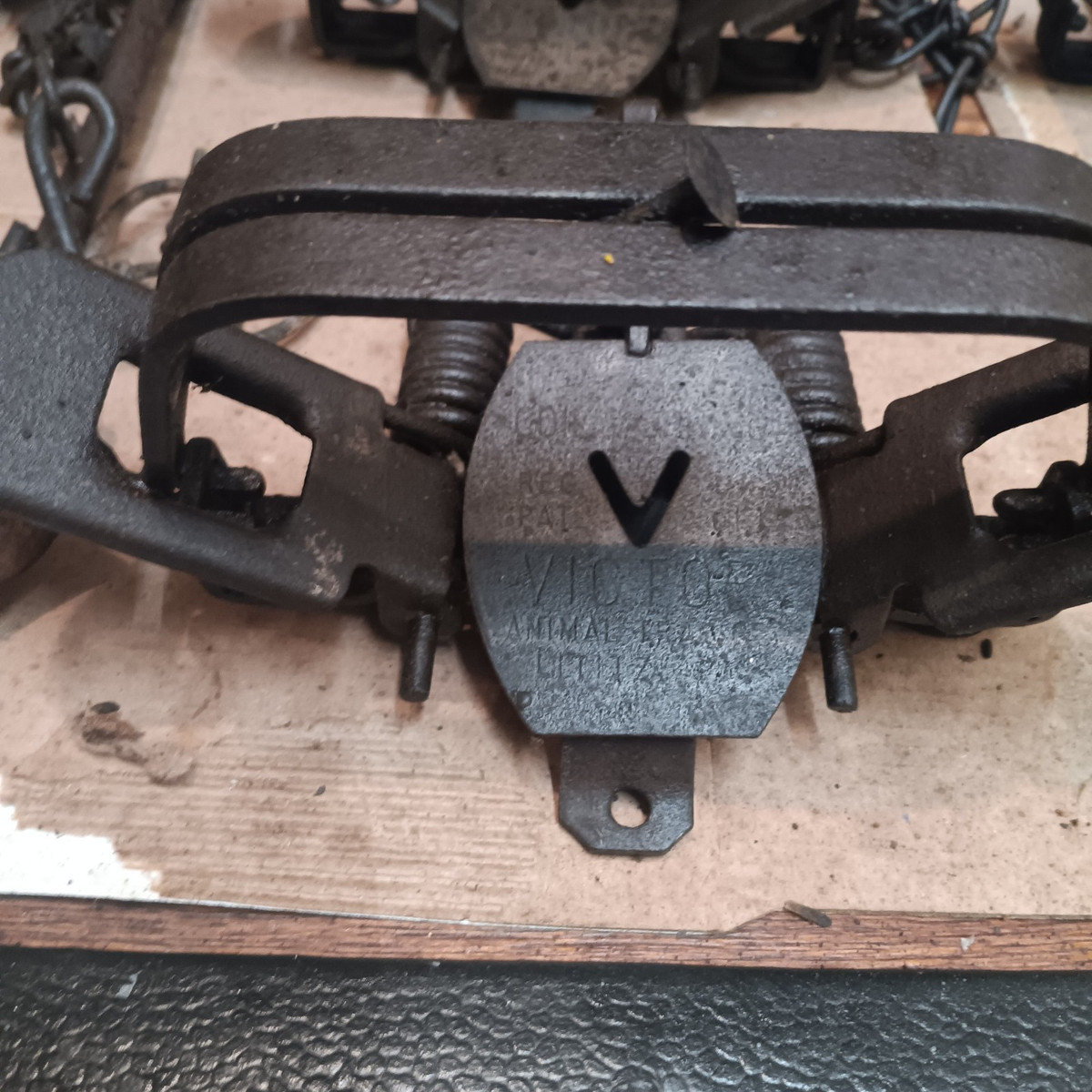 Victor 2 Traps In Vintage Hunting Traps for sale - eBay Victor 2 Traps In Vintage Hunting Traps for sale - eBay