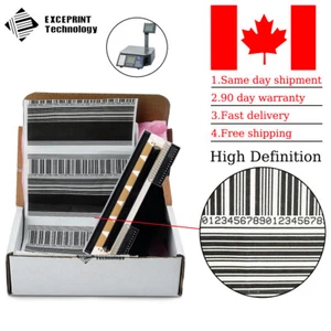 ✅Thermal Printhead for Mettler Toledo 3600 3610 3650 3680 3695 3950 Bpro BCom✅ - Afbeelding 1 van 7
