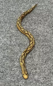 Serpente con balze in legno 20" giocattolo realistico - Foto 1 di 8