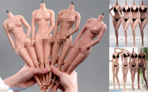 ANT 1/6 Scale Beauty Girl 12 inch Female Action Figure 12" Body Hands NO Clothes - Bild 1 von 121