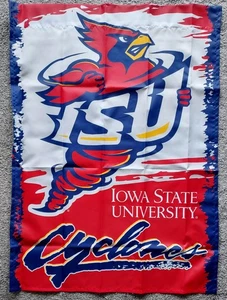 Wincraft Sports Iowa State University ISU w/Cy Mascot Logo Vertical Flag 27"x37" - Picture 1 of 18