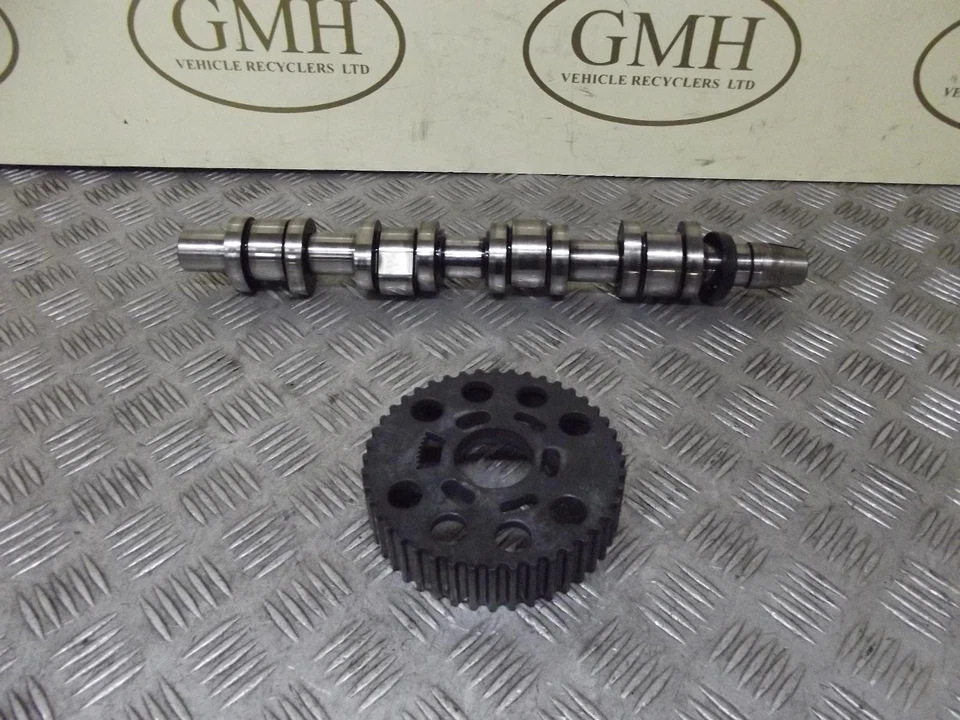 Árbol de levas y polea de admisión de entrada Volkswagen Golf MK5 2.0 diésel 2004-2009B Foto 1 de 4