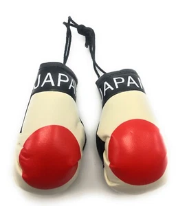 Country Flag Mini Boxing Gloves - New, One Pair, Multiple Countries Available - Picture 1 of 158