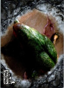 Topps Stranger Things Welcome To The Upside Down Evolution Of Demogorgon EV-4