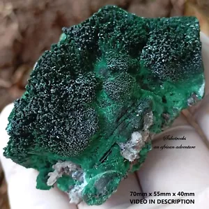 Chrysokoll Malachit und Quarz - Mashamba West Mine DRC Kongo - Bild 1 von 12