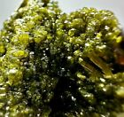 367 Carat Rare Amazing Green Epidote Crystals Bunch With Andradite Garnet @Pak
