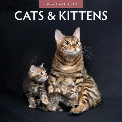 RED ROBIN PUBLISHING Cats & Kittens 2026 Square Wall Calendar