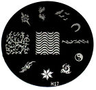 Grand timbre nail art plaque image série H chaton estampillage zodiaque grattoirs bonjour