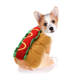 Hot Dog Hamburger Transformation Costume Halloween Costumes Dogs - Picture 1 of 11