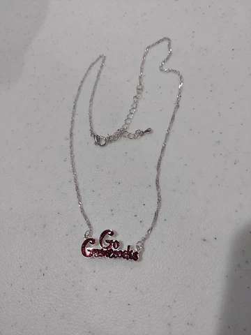 South Carolina GO Gamecocks Logo NCAA Charm Silver Pendant Necklace Swirl Chain Cover