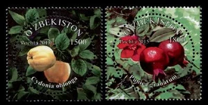 Früchte. Quittenfrucht, Granatapfel. 2W. Usbekistan 2015 - Bild 1 von 1