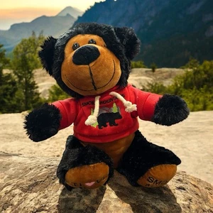 Black Bear Teddy Smoky Mountains Red Fleece Hoodie Souvenir Plush Stuffed Animal - Picture 1 of 12