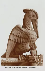 Cartolina Francia Notre Dame de Paris Chimère Gargoyle Pelican NrMNT c1906-15 RPPC - Foto 1 di 2