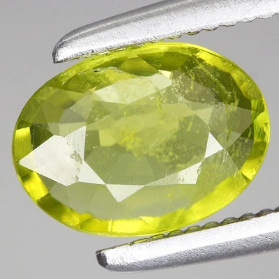Untreated Yellowish Green 0.7ct 7x5.1mm Oval Natural Peridot Gemstone Myanmar - Image 1 of 4