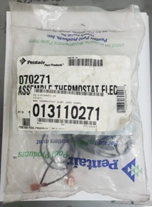 Termostato electrónico original Pentair 070271 MiniMax Plus de lote antiguo - Imagen 1 de 1