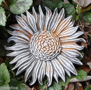 Plastic thin sunflower Mold Plaster Cement Mould  6" x 1/3" 