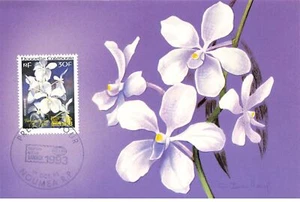 Card Maximum #23568 New Caledonia Noumea 1993 Bangkok Flowers Orchid - Picture 1 of 2