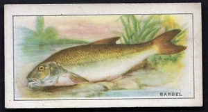 LEA - FISH - #10 BARBEL - Picture 1 of 2