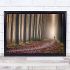 Landscape Path Forest Trees at Dusk With Person Wall Art Print