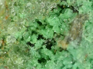 ARSENTSUMEBITE from Tsumeb, Namibia  *  TYPE LOCALITY SPECIMEN *  3,6 cm - Picture 1 of 5