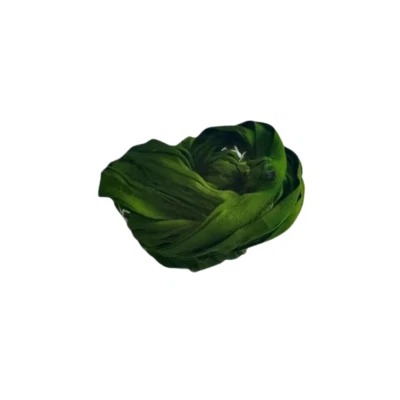 Sari Silk Ribbon super bulky yarn -Green shade Sari Silk Ribbons - Silk Strips - Image 1 of 4