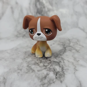 Littlest Pet Shop #25 Boxer - Bild 1 von 2