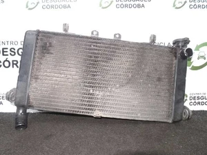 19010MV9003 WASSERRADIATOR / 491661 FÜR HONDA CBR 600 F / CBR 600 RR * - Picture 1 of 3