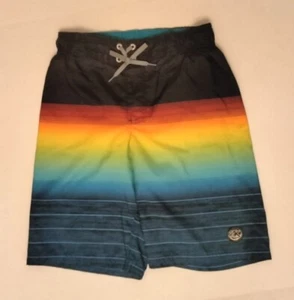 Zero X Posur Boys Surf Swim Shorts rainbow Size M 10-12 - Picture 1 of 4