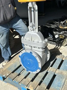 Warren Gate Valve 10” 150 Flanged Carbon Steel - Picture 1 of 5