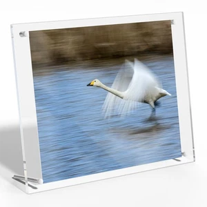 8.5x11 Acrylic Picture Frame,Clear Frameless Photo Frame for Wall & Desktop D... - Picture 1 of 8