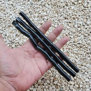80 Grams Genuine Natural Raw Black Coral Branch Indonesian Sea Willow Yusr #63 - Picture 1 of 6