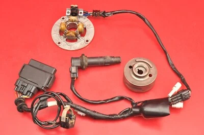 Yamaha YZ250F YZ 250F 2008 06-09 CDI caja magneto estator volante pickup bobina Foto 1 de 4