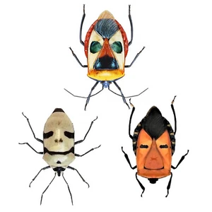 FACE BEETLE PAK Eucorysses grandis Catacanthus incarnatus nigripes skull in USA - Picture 1 of 5