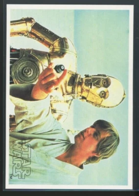 LUKE SKYWALKER C-3PO 1977 Topps Yamakatsu Star Wars Large See-Theepio/Luke C13 - Image 1 of 2