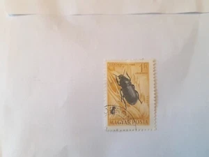 hungary stamps 1871 - Picture 1 of 1
