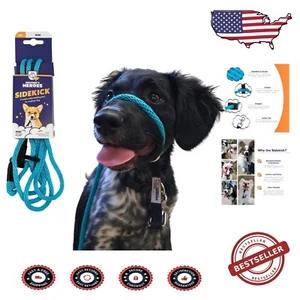 Mini 1/4" Sidekick Headcollar & Leash - Gentle Control for Dog Behavior Issues - Picture 1 of 9