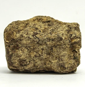 122G AMAZING Natural YELLOW BROWN Amber Rough Mineral Specimen - Picture 1 of 8