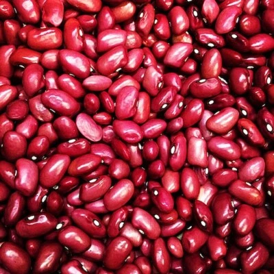 Bulk Red Bean Seeds 300+ Vegetable Seeds - Image 1 of 2