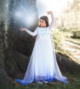 Trish Scully Princess Sigrid Elsa Gown Size 8 Girls 8 Inspired Frozen II EUC - Picture 1 of 12